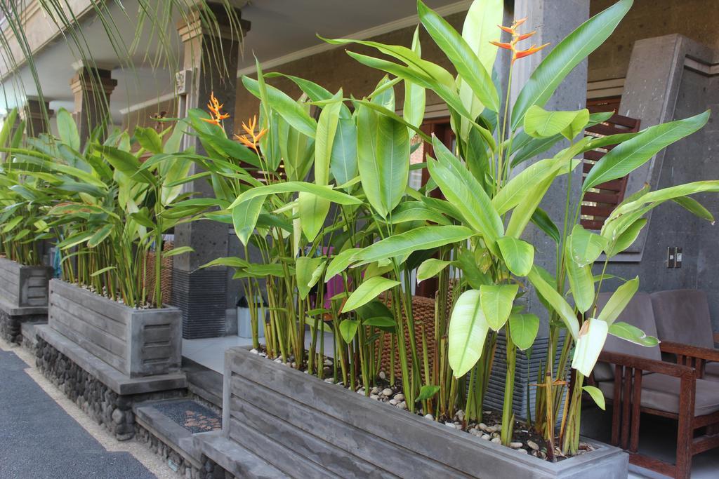 Privatunterkunft Letos Kubu Homestay *